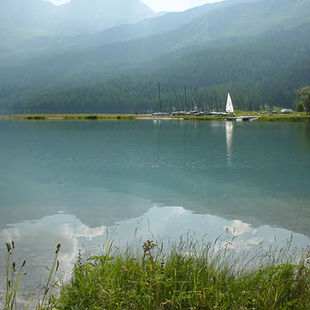 Silpaplanersee