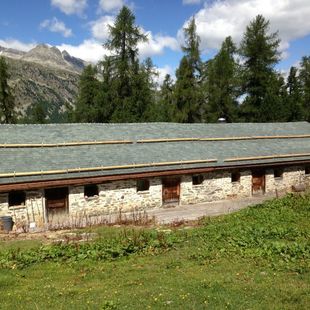 Dach Stall Alp Prasüra