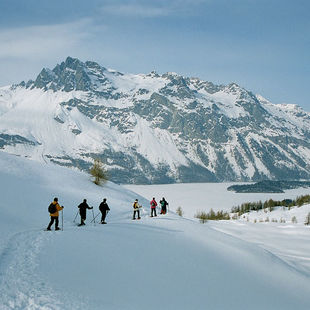 Sils und Umgebung