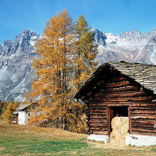 Sils und Umgebung